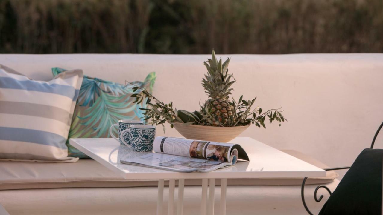 Villa Vaya Agia Anna  Exterior foto